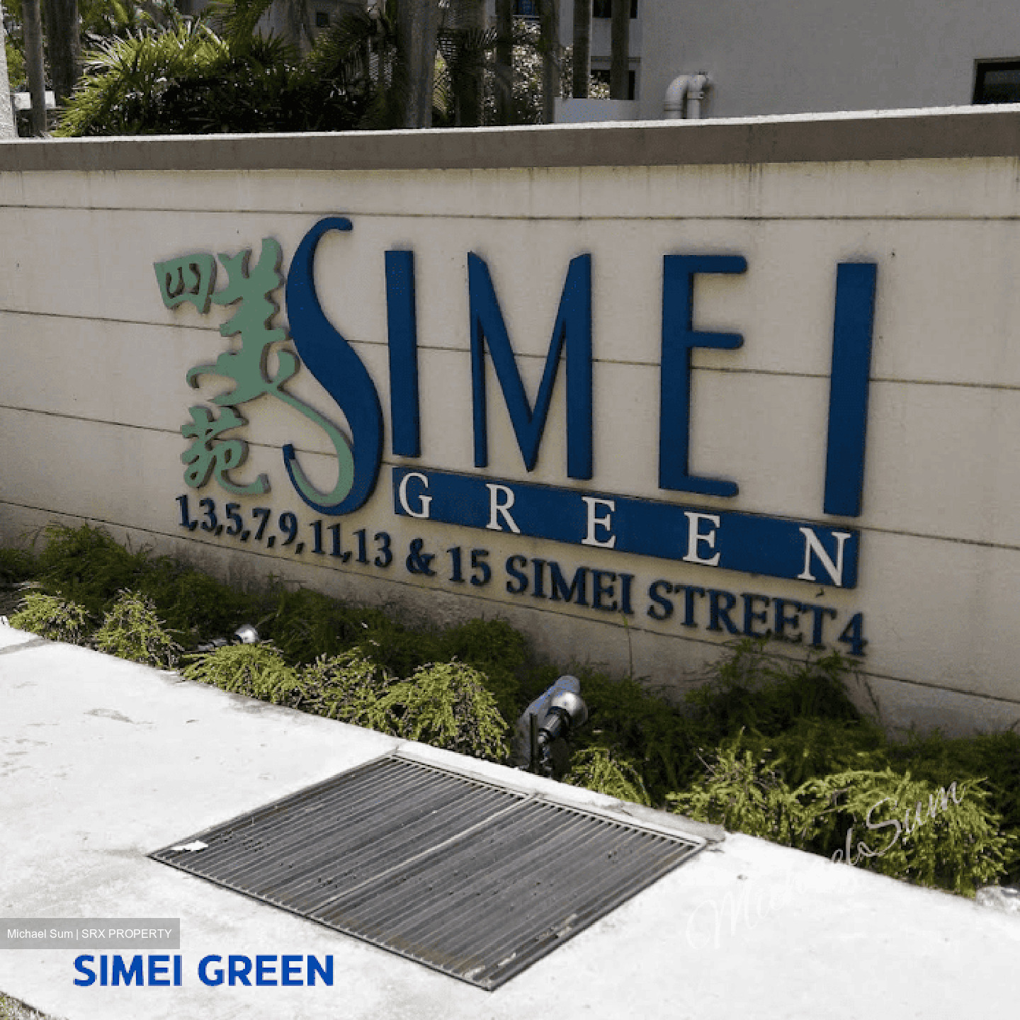 Simei Green Condominium (D18), Condominium #586797161